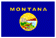 Montana State Flag