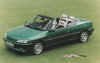 306cab-1995rg.jpg (31462 bytes)