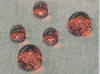 Paving Clearway stops staining by preventing absorption of liquids, oils, grease etc
