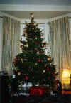 The tree