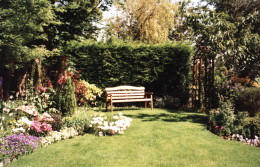 garden at Clach Mhuilinn in summer