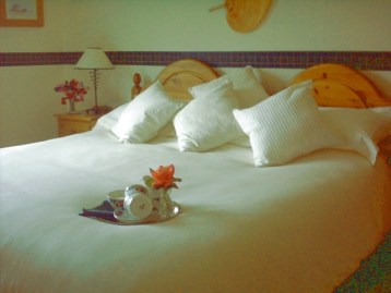 luxury en suite guest rooms