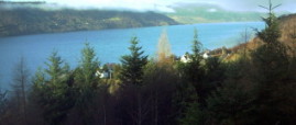 View from forest walk overlooking Loch Ness