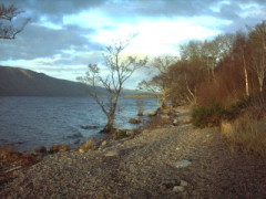 Loch Ness shore