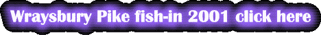 Wraysbury Pike fish-in 2001 click here