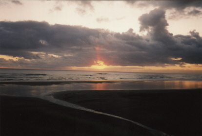 Sunset - Muriwai Beach (NZ).jpg (43319 bytes)