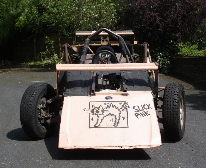 cat_car_front