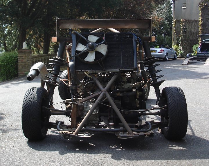 cat_car_rear