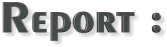 Report :