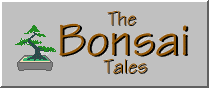 The Bonsai Tales