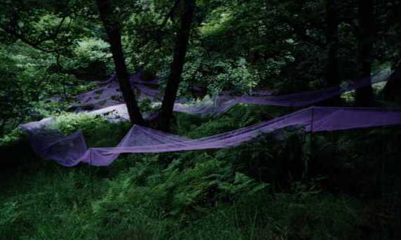 Click image to return