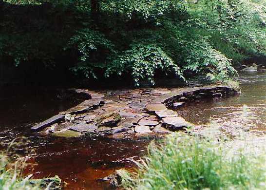 Click image to return