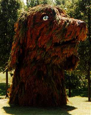 Click image to return