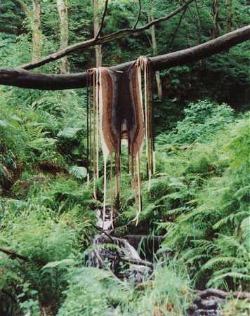 Click image to return