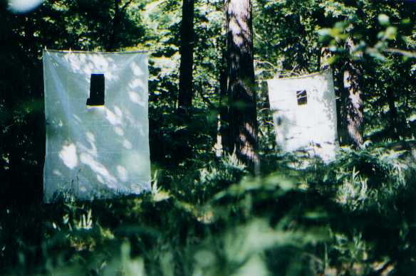 Click image to return