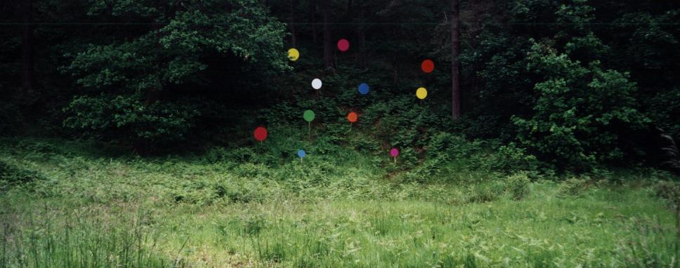 Click image to return