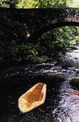 Click image to return