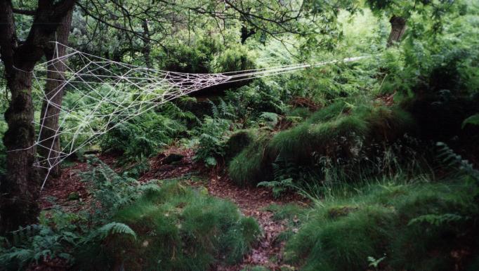 Click image to return