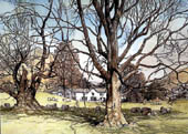 Glenthorne Country Guesthouse