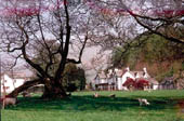 Glenthorne Country Guesthouse