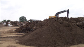 Screened Top Soil