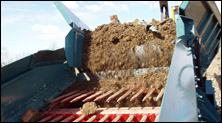 Screening Process