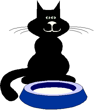CAT(SW)