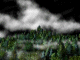 Great Northern Forest