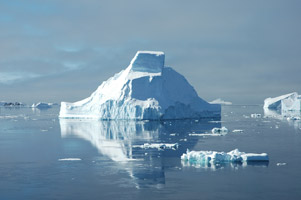 antarctic