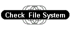 Check  File System