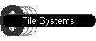 File Systems