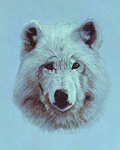 Lone Wolf S.JPG (12234 bytes)