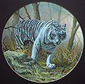 TigerRoundS.JPG (20142 bytes)