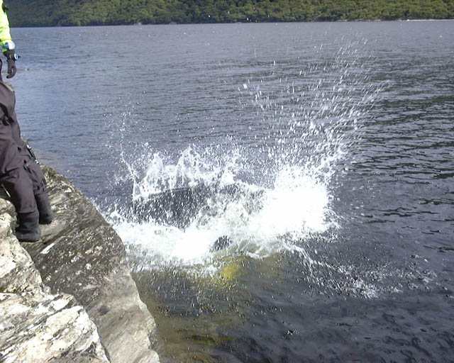 DSC00036