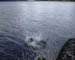 DSC00041