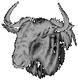 gnu