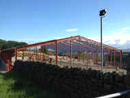 web_cowshed090612.jpg (117699 bytes)