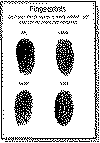 Finger.gif (19971 bytes)