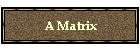 A Matrix