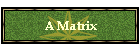 A Matrix