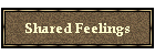 Shared Feelings