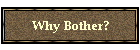 Why Bother?