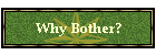 Why Bother?