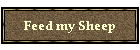 Feed my Sheep