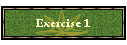 Exercise 1