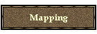 Mapping