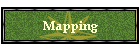 Mapping