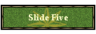 Slide Five