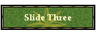 Slide Three