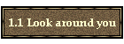 1.1 Look around you